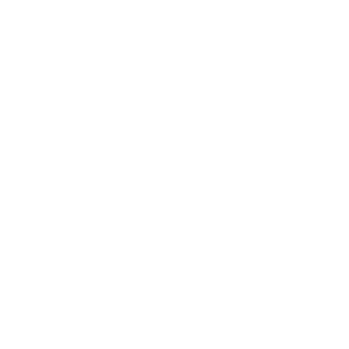 Logo TsunamIA, un surfeur sur une vague